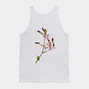 Tricyrtis formosana &#39;Dark Beauty&#39; Toad lily Tank Top